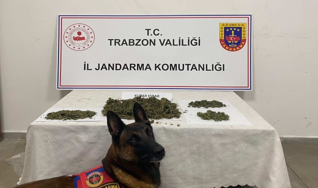 Trabzon'da uyuşturucu operasyonunda 2 şüpheli yakalandı