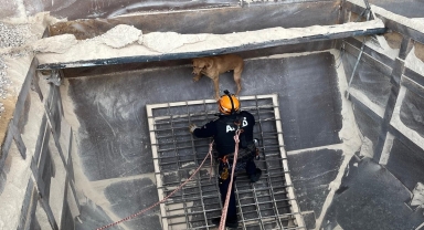 Amasya'da kum silosunda mahsur kalan köpek AFAD tarafından kurtarıldı