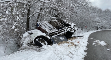 Bolu'da kamyonun devrildiği kazada onlarca tavuk telef oldu