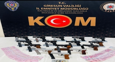 Giresun'da silah kaçakçılığı operasyonunda 1 şüpheli tutuklandı