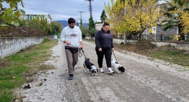 Köpeklere eğitimi yaşam alanlarında vererek daha başarılı sonuçlara ulaşıyor