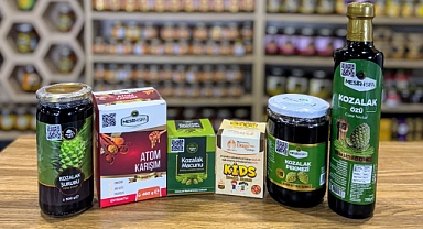 SAĞLIKLI YAŞAMIN SIRRI: ÇAM KOZALAK ÜRÜNLERİ 