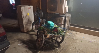 Samsun'da otomobilin çarptığı üç tekerlekli bisiklet sürücüsü yaralandı