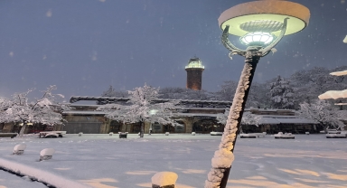 Samsun'un ilçelerinde kar yağışı etkili oldu