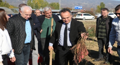 TOGÜ'de tatlı patates hasadı yapıldı