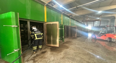 Tokat'ta kereste ve kontrplak fabrikasında çıkan yangın hasara yol açtı