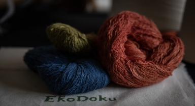 EkoDoku'nun