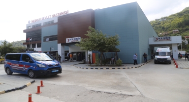 Kastamonu'da domuzun saldırdığı kişi yaralandı