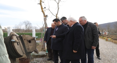 Kavak'tan kısa kısa