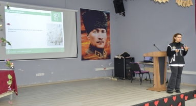 Türkeli'de