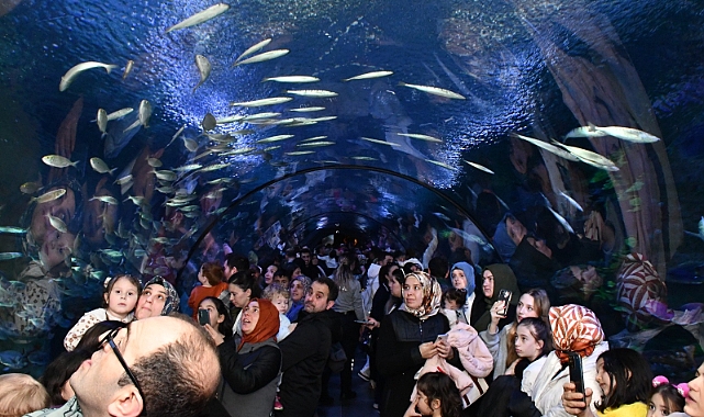 Trabzon Akvaryum'daki 'deniz kızı' gösterisi izleyenleri büyüledi