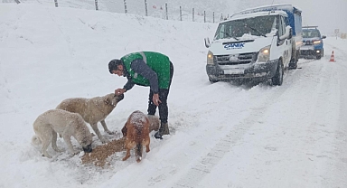 Can Dostların İmdadına Canik Belediyesi Koştu
