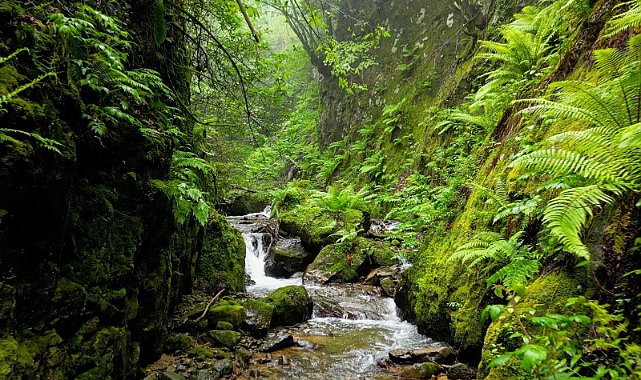 BAŞKAN KAYA: “ÇAĞLAYAN ŞELALESİ’NDE YOL ÇALIŞMALARINA BAŞLIYORUZ”