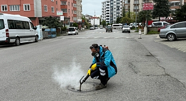 BÜYÜKŞEHİR VEKTÖRLE MÜCADELEDE YAZA HAZIR