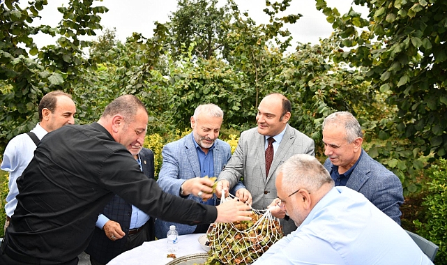 BAŞKAN VEKİLİ KANCA: “FINDIKTA VERİMİ ARTIRACAK PROJELERİN DESTEKÇİSİYİZ”