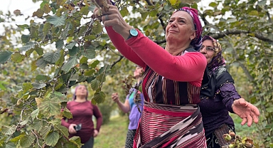 CHP Trabzon Milletvekili Suiçmez’den Tarım ve Orman Bakanlığı’na Sert Uyarı: “Üreticinin Emeğini Çalmayın, Fındık Fiyatını Hemen En Az 250 TL Olarak Açıklayın”