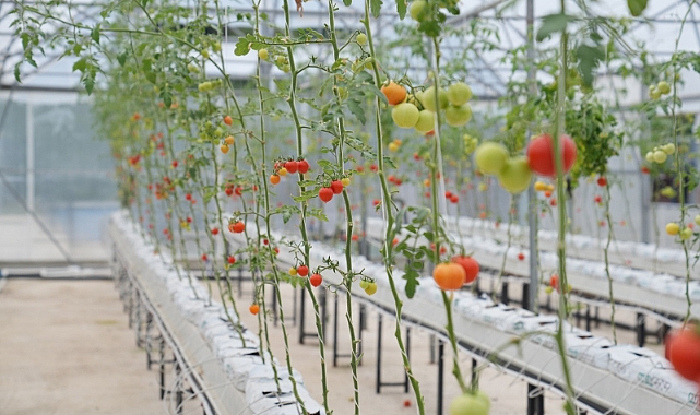 EN MUTLU KÖY’DEKİ ÜRETİM, YÜZLERİ GÜLDÜRÜYOR