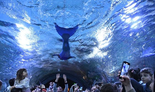 TRABZON AKVARYUM’DA, DENİZKIZI GÖSTERİSİ YAPILACAK