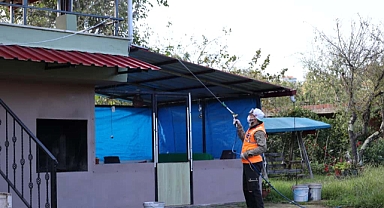 ARSİN’DE KOKARCA İLE YOĞUN MESAİ SÜRÜYOR