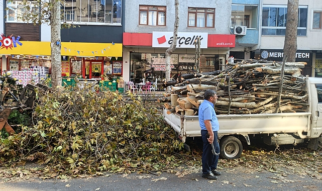 BÜYÜKŞEHİR'DEN SONBAHAR TEMİZLİĞİ