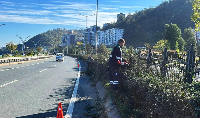 BÜYÜKŞEHİR'DEN SONBAHAR TEMİZLİĞİ