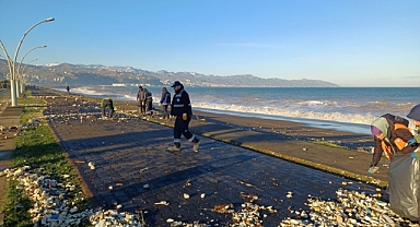 BÜYÜKŞEHİR’DEN AYASOFYA SAHİLİNE HIZLI MÜDAHALE