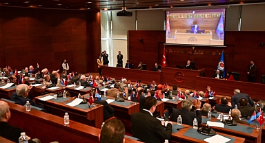 TRABZON’DA SOKAK HAYVANLARI İÇİN DÜZENLEME