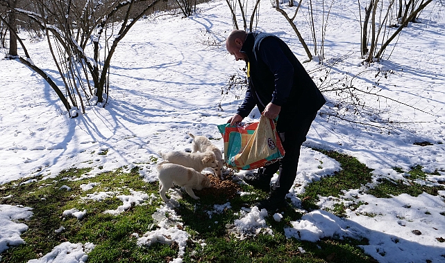 ORTAHİSAR BELEDİYESİ, SOĞUK KIŞ GÜNLERİNDE SOKAK HAYVANLARINI UNUTMADI