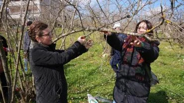 ORTAHİSAR BELEDİYESİ’NDEN FINDIK ÜRETİCİLERİNE EĞİTİM DESTEĞİ