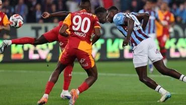 Aslan Fırtınaya Tutuldu