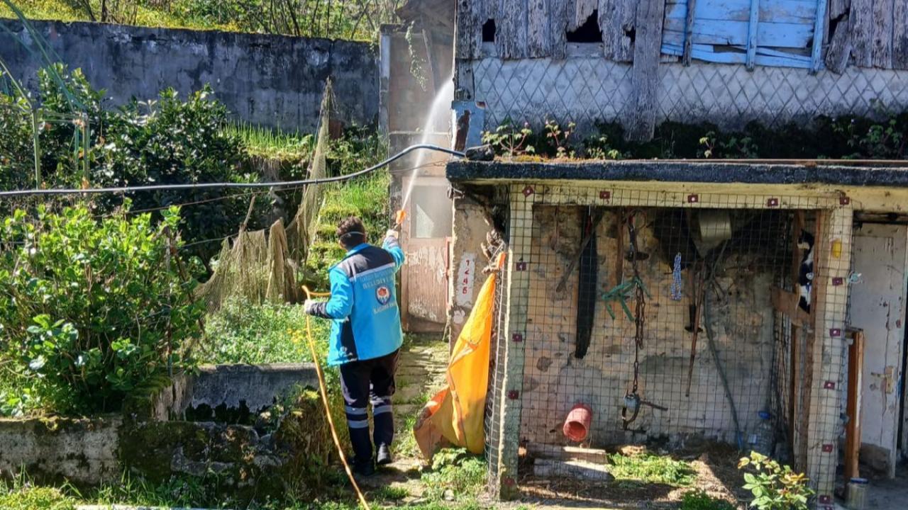 BÜYÜKŞEHİR BELEDİYESİNDEN KOKARCAYLA MÜCADELEYE DESTEK